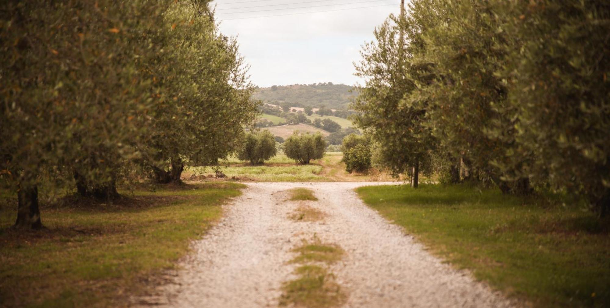 Agriturismo Poggio Alle Calle Сатурния Экстерьер фото